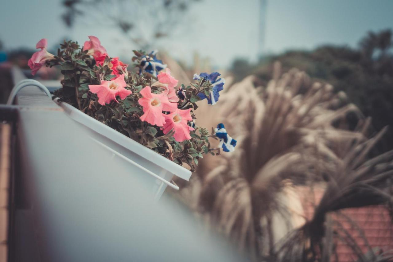 Sunny Trang An Homestay ニンビン エクステリア 写真