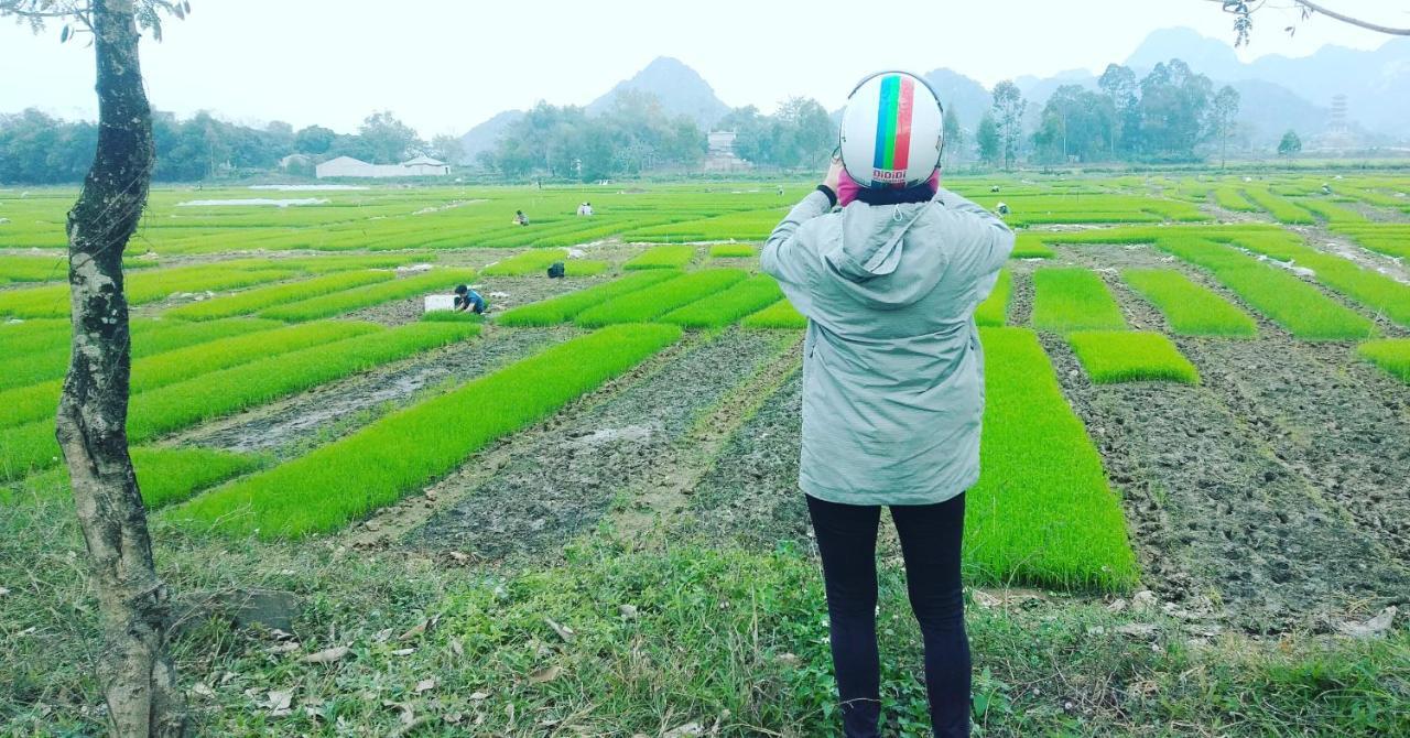 Sunny Trang An Homestay ニンビン エクステリア 写真