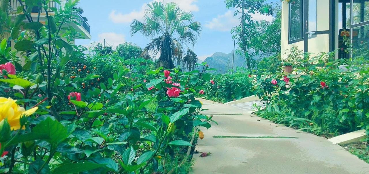 Sunny Trang An Homestay ニンビン エクステリア 写真